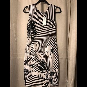 White and Black Dress